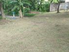 Thalahena Residential Land for Sale in Udyana Mawatha