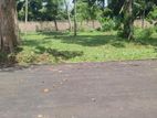 Thalahena, Super Residential Land for Sale in Thalahena Udyana Mawatha.