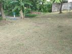 Thalahena, Udyana mawatha, Valuable RESIDENTIAL LAND for sale