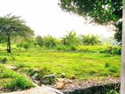 Thalawathugoda : 17.5 Perches Land for Sale