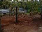 Thalawathugoda 20 Perches Land for Sale