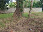 Thalawathugoda Best Residential Land for Sale in Polwatta Road