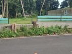 Thalawathugoda, best RESIDENTIAL LAND for sale in Polwattha rd
