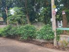 Thalawathugoda , best RESIDENTIAL LAND for sale in POLWATTHA rd