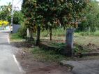 Thalawathugoda - Hokandara land for sale