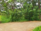 Thalawathugoda Land For sale