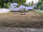 Thalawathugoda, Last Remaining Valuable Plot, Decent Community for Sale