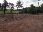 Thalawathugoda - pelawatha paddy field facing land for sale .