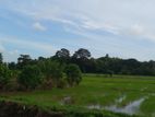 Thalawathugoda - pelawatha paddy field facing land for sale