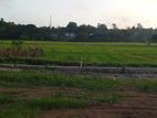 Thalawathugoda - Pelawatha Paddy Field Facing Land for Sale