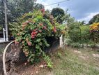 Thalawathugoda Temple Road 25 Perches of Land with an old House for Sale