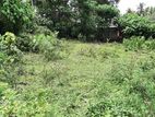 Thalawathugoda , Weera Mawatha Land for Sale