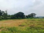 Thalawatugoda 17 Perched Paddy Field Facing Valuable Land for Sale