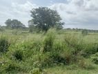 Thanamalwila : 32 Acers Land for Sale