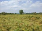 Thanamalwila : 50 Acers Bare Land for Sale in Balaharuwa