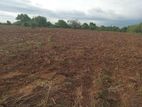 Land for Sale in Bodagama