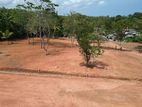 The Best Land For Tourism Industry.