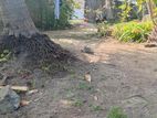 Land for Sale Batticaloa
