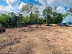 The Best Land In Hirikatiya