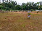 The Best Place in Panadura Land for Sale