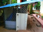 Animals Cage