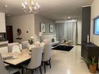 The Grand - Furnished Apartment for Rent A47991