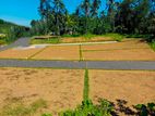 The plots of business land in rekawa