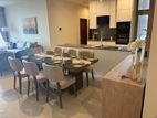 The Prime Grand - Apartment For Rent in Colombo 7 EA903