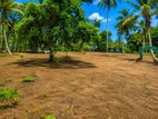 The Tourism Land In Midigama