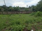 THE VALUABLE LAND FOR RENT IN KOTTAWA 280 BUS ROAD