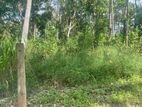 THE VALUABLE LAND FOR SALE IN BALANGODA