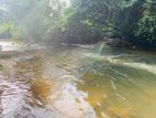 The Valuable Land In Hadapangoda