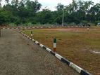 the valuable land in panadura....