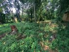 Thihariya - Kalagedihena, Kiththammahara Land for Sale