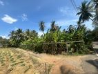 Thissamaharama : 37 perches Land for rent Villa Project at Kasingama
