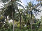 Thoraya- Kurunegala Land for Sale (SSPL-335)