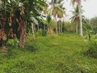 Three Acre Land for Sale in Horana