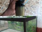 Three Feet Fish Tank