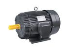 Three phase 15Hp 1440rpm Recondition motor