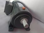 Gear Motor