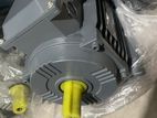 Three Phase Induction Motor