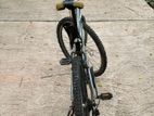 Thunder Singer Bike