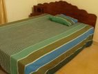 Double Bed with Damro Mettress