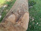 Timber ලී
