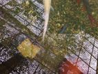 Tin foil barb