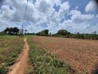 திருநெல்வேலி Management Campus அருகில் 14 பரப்பு காணி விற்பனைக்கு