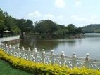 Tissa Kataragama Hotel for Sale ( RHS- 740 )