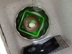 Homemade Incubator with Fan Digital Meter - 30 Eggs