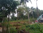 (TL121) 2 Acres Land For Sale in Kegalle