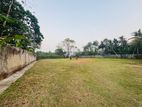 (TL126) 54 Perch Land For Sale in Dehiwala